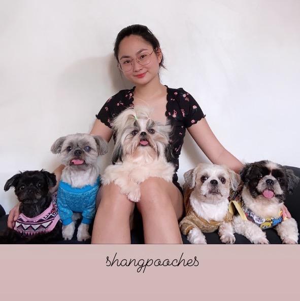 𝖘𝖍𝖆𝖓𝖌 🐾 shangragasa