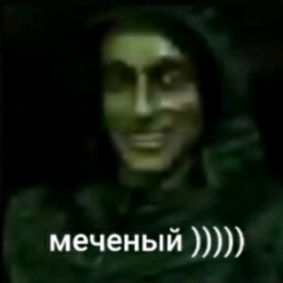 МЕЧЕНЫЙ ))) strelok_vlad