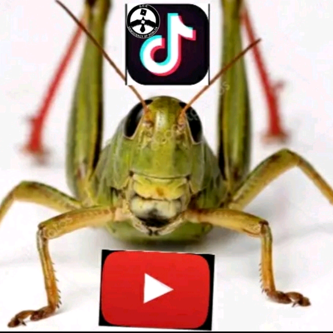 Кузямби Кузямбевич kuzambi.kuza