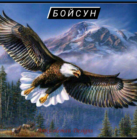 сурхон75 raximjon823005