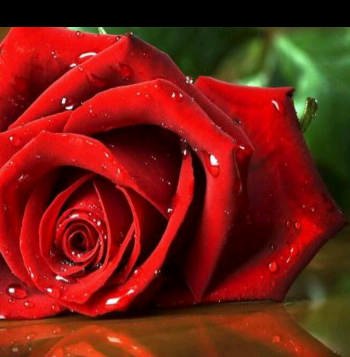 صمت الحنين ...so20