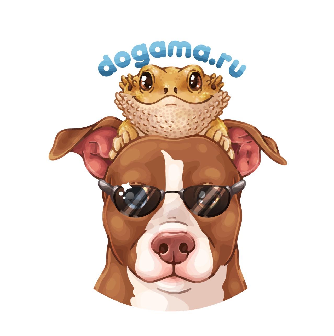 ДОГАМА DOGAMA dogamaru_