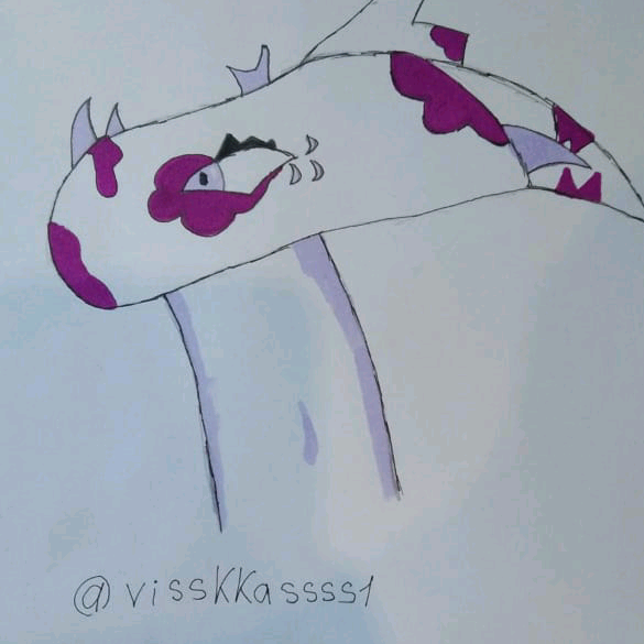 visskkassss1 visskkassss1