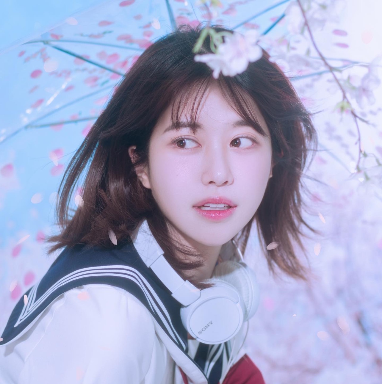 Dalha🌙 dalha_
