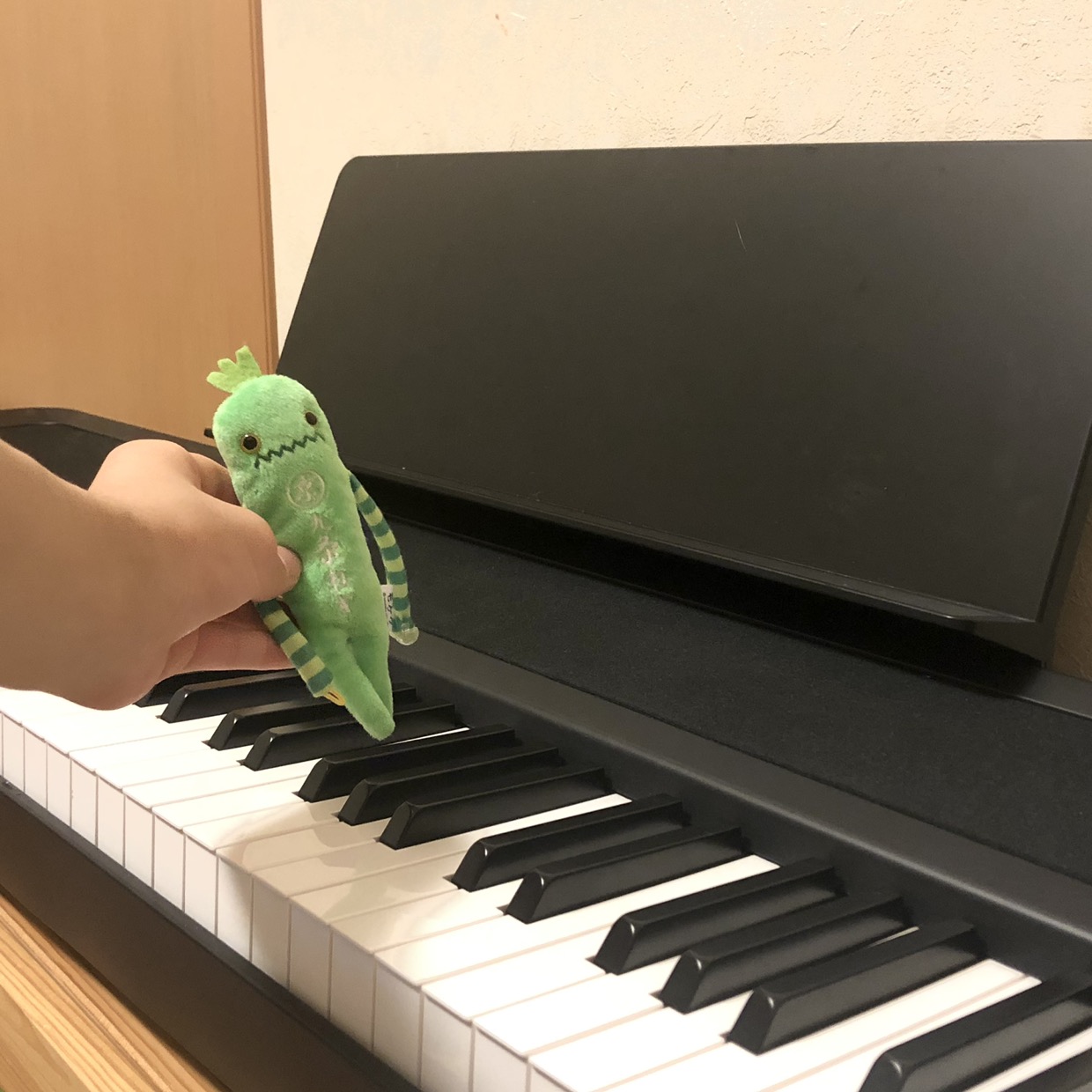 あるぱか rpaka9113