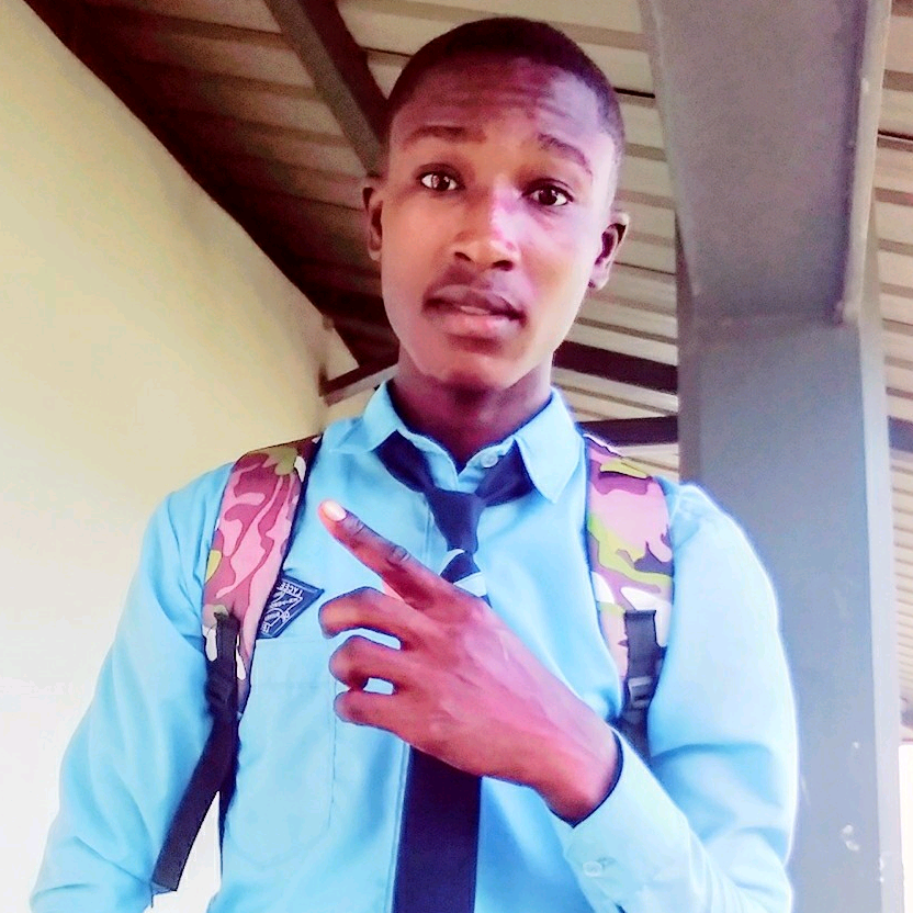 olritch Sylvain olrichh2
