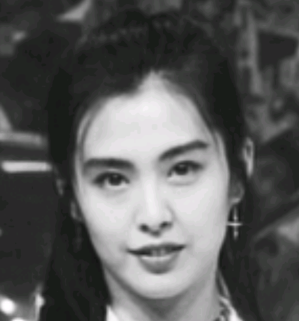 nguyen_vovi nguyen_vovi