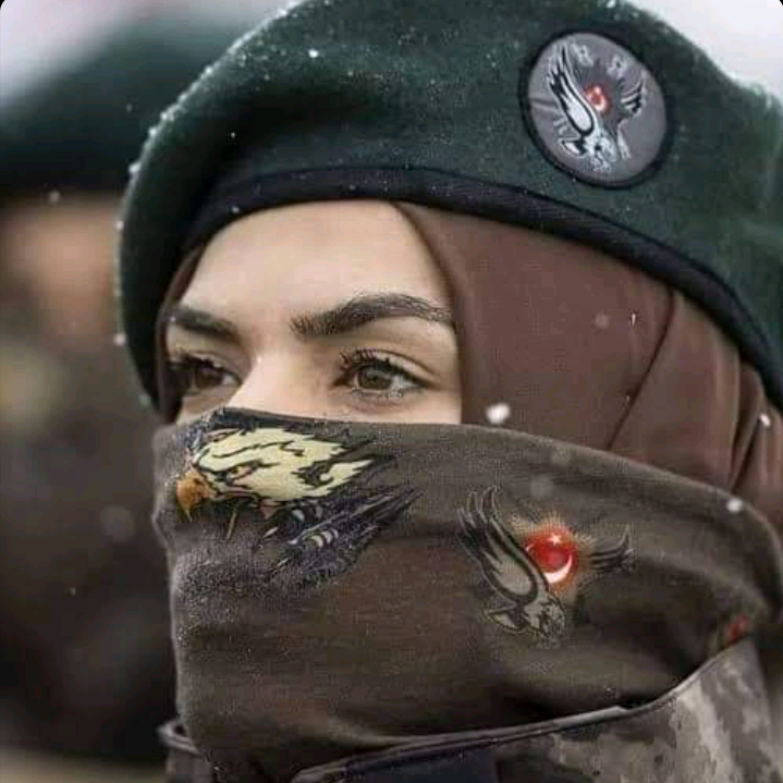 herbiçi_.556 elxan.h2001