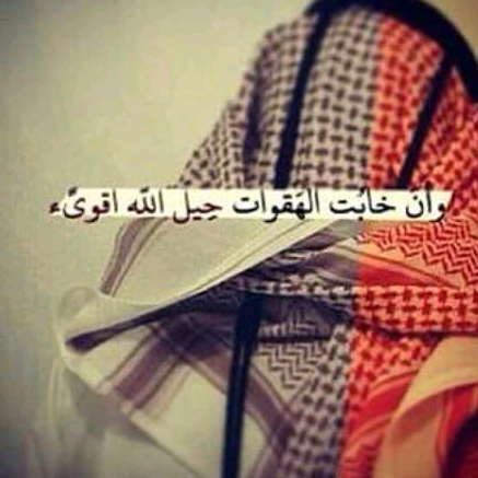 راشــد القضاه الصخري rashed7772
