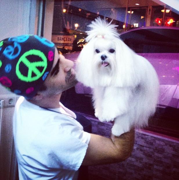 @petstylistt petstylistt
