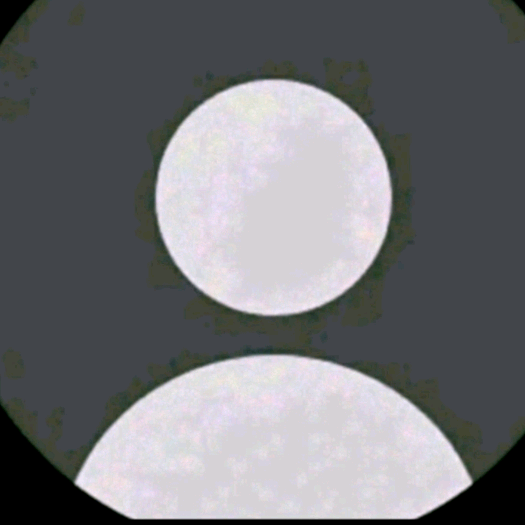 Queen queen_wee1