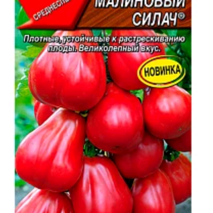 irina. steg user3327541561217