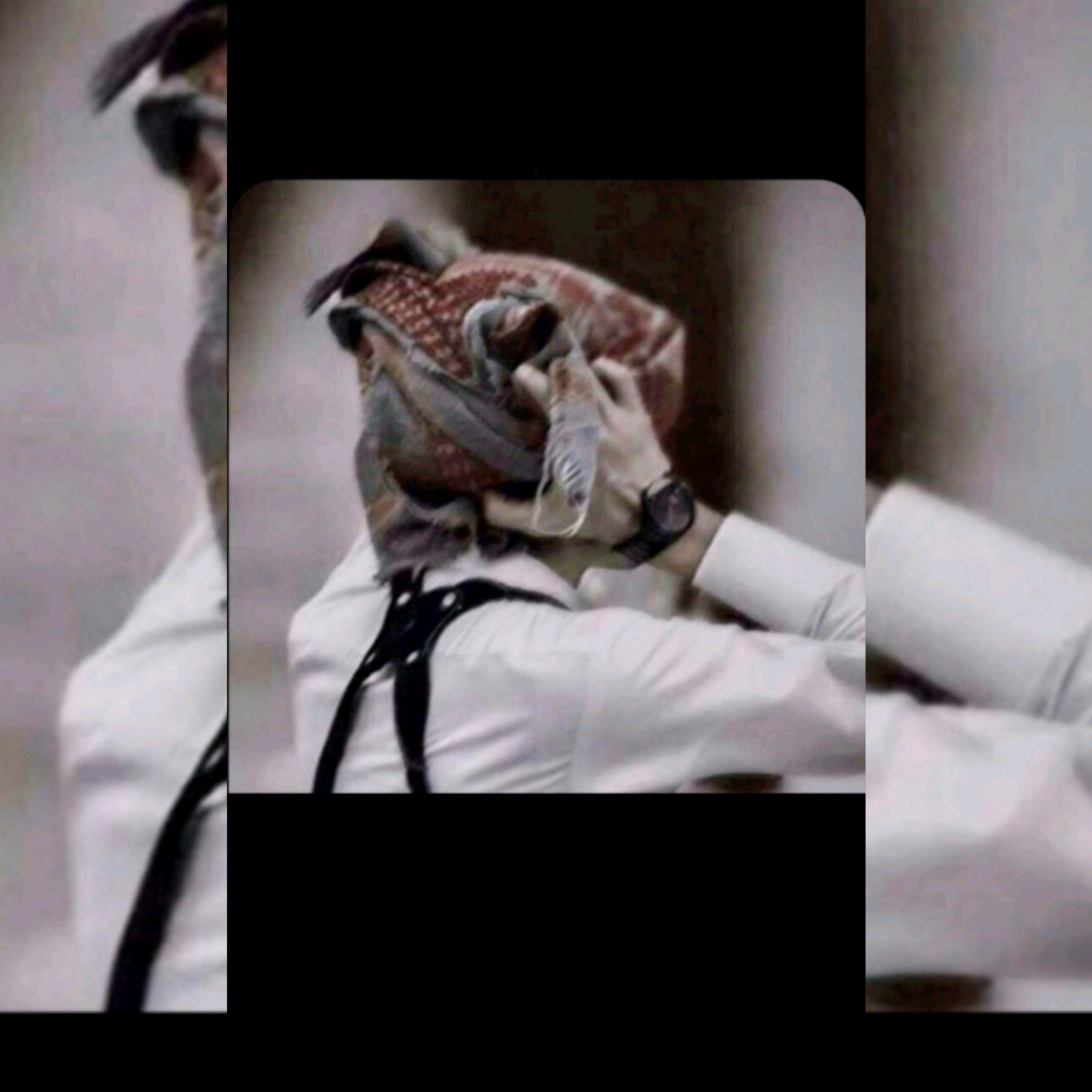Ahmed『4Ever app_store44