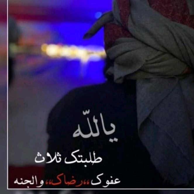 ALwleed77 lxl_41
