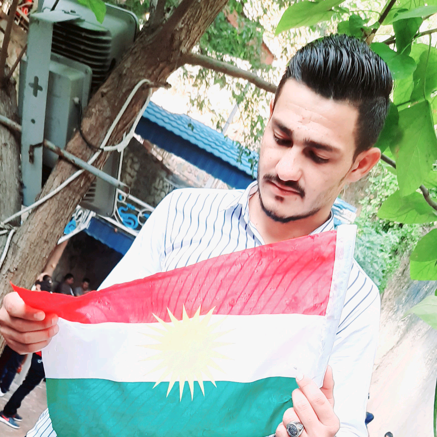 Hamed pashayvxam2345