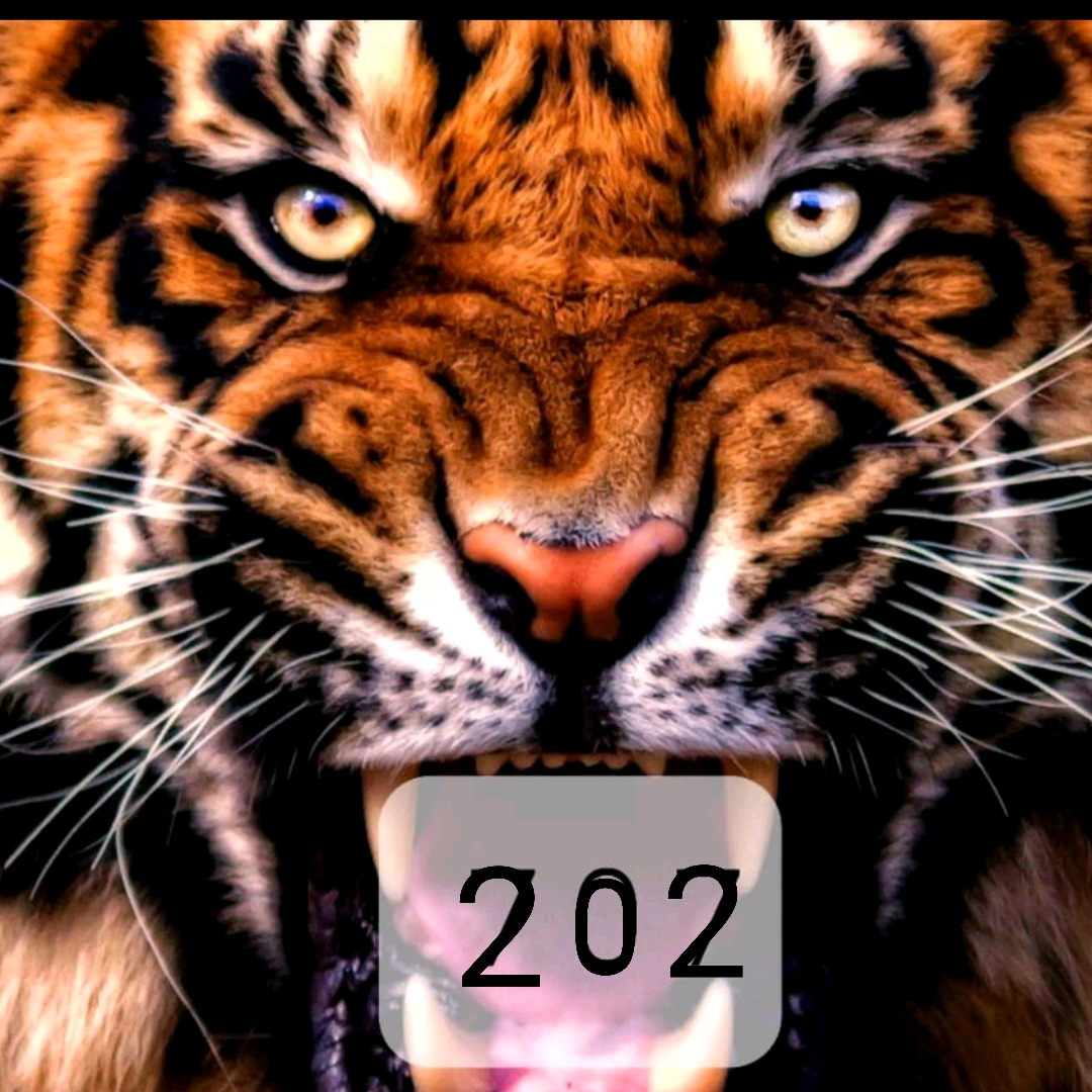 хусни9938129487401 ramazon0000002004