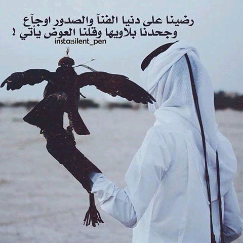 hamzalotfealqrara hamzalotfealqrara