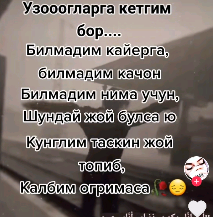 алижанова оиша алижон кизи sheyxa._.o7