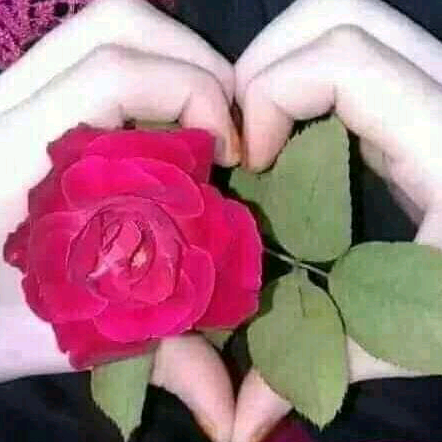 user859268312098 rahima21435