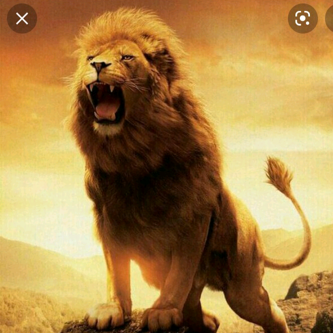 ANDIJON 👑 axrorbek_60