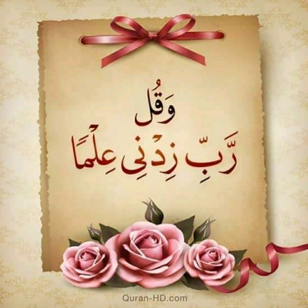 أيمن المحمد ayman.almuhammad