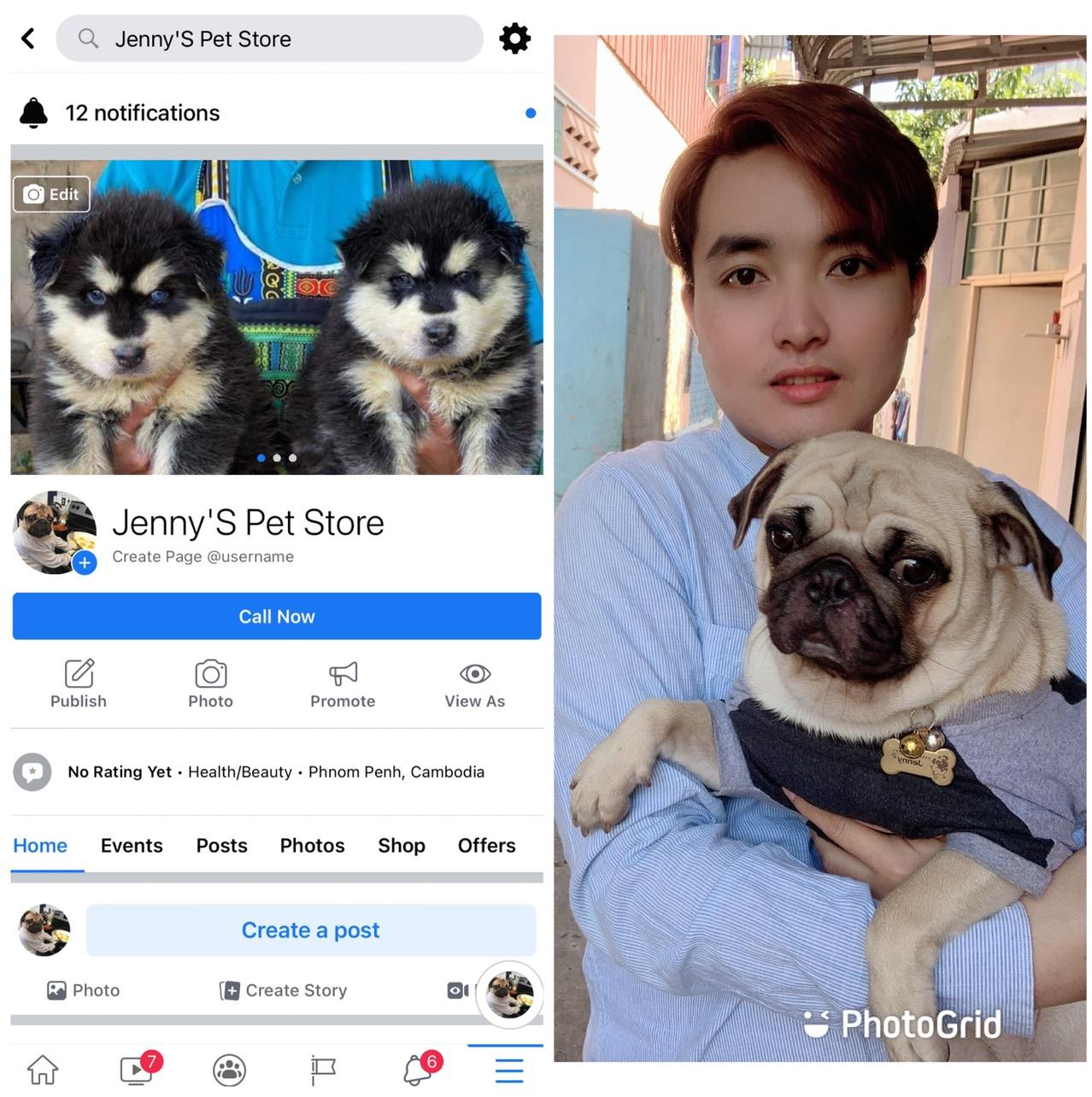 Minho   minho_bee