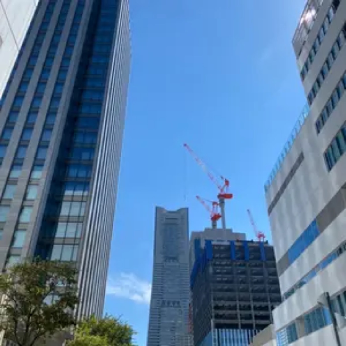 セブンの店員 mobu4180