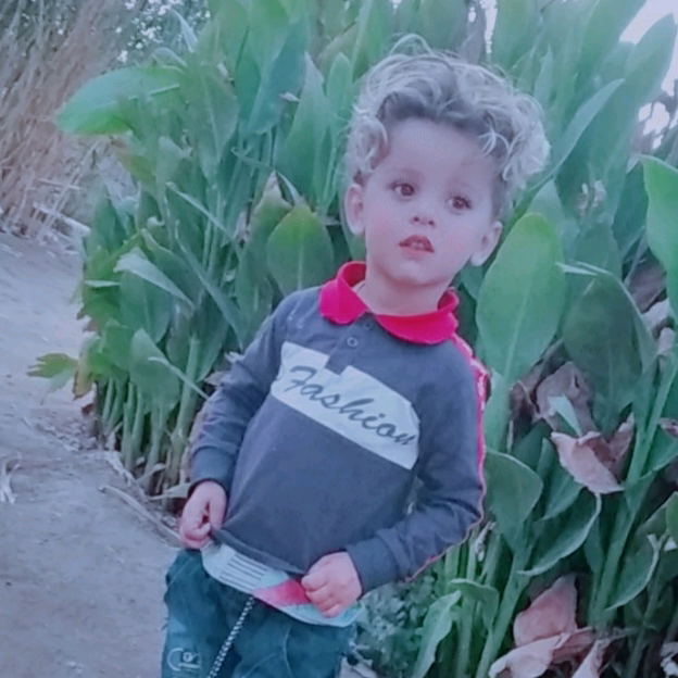 حمودي الحنين dy1quvvmxm4i
