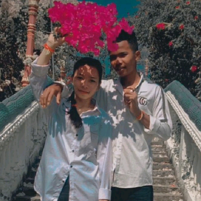 អត់ យល់ brovit1314