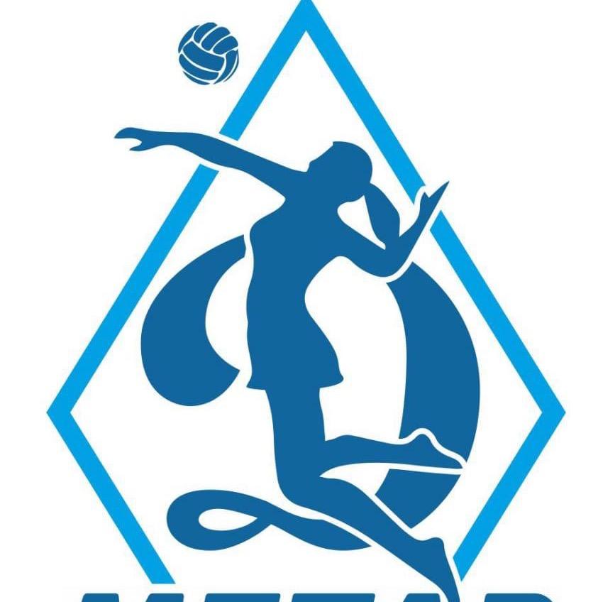 ВК «Динамо-Метар» dinamo_metar