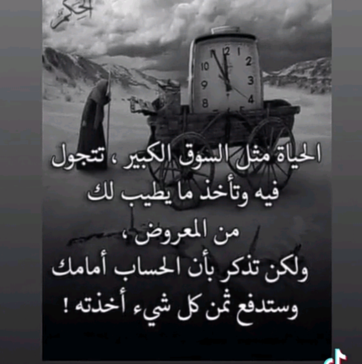 ابو ركان mohamedsalim5342