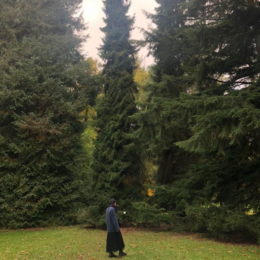 ella🤎🗝🍁🌙🌲 waterlil3s