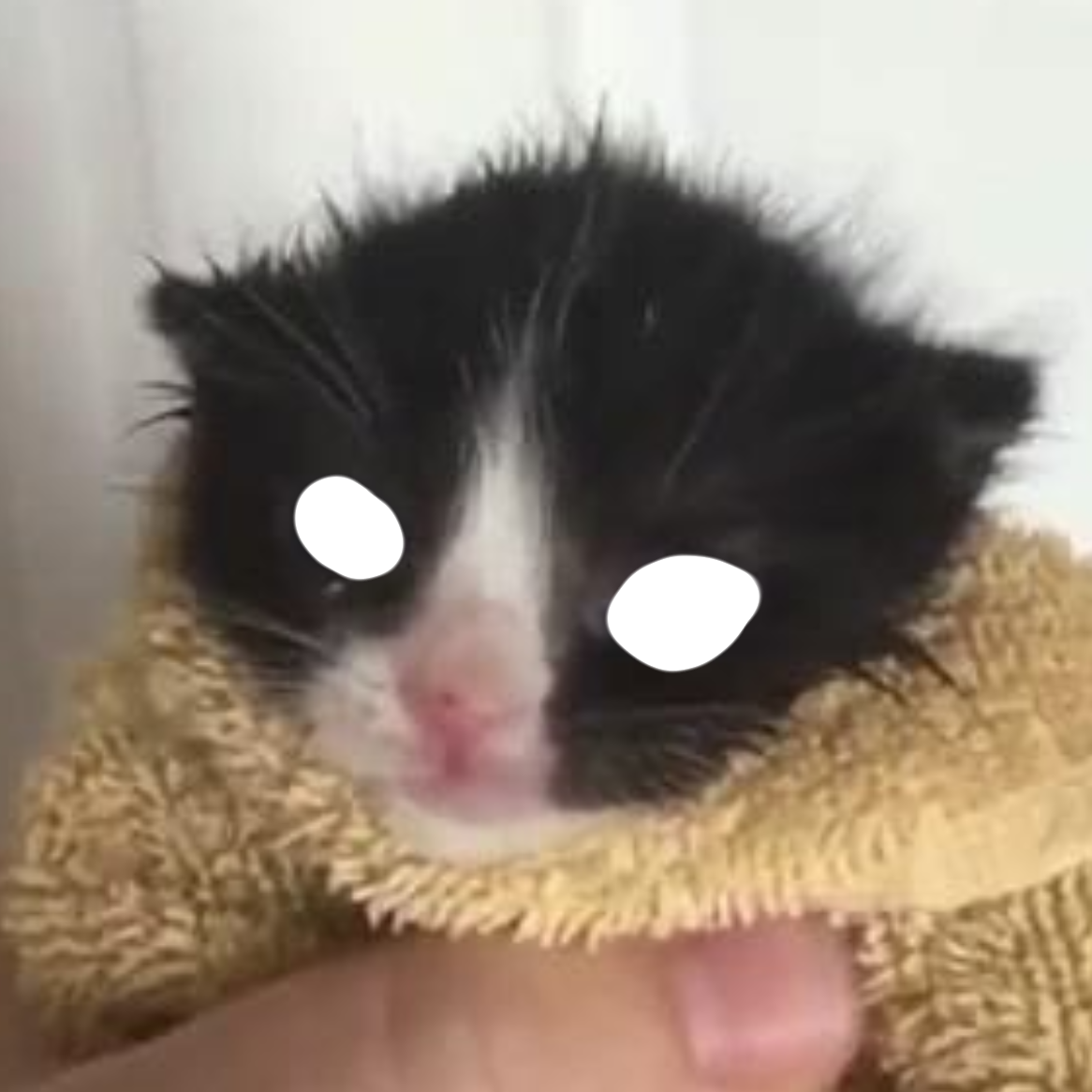Я КУБ hi_im_egor