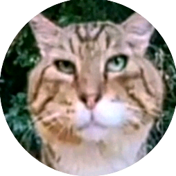 носок salad_catroblox