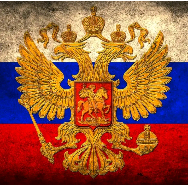 user6545581039333 dima_t029