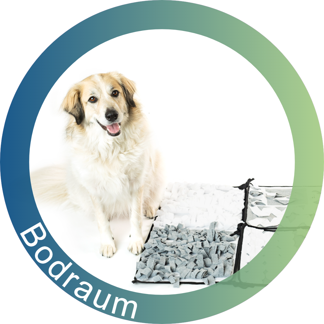 bodraum