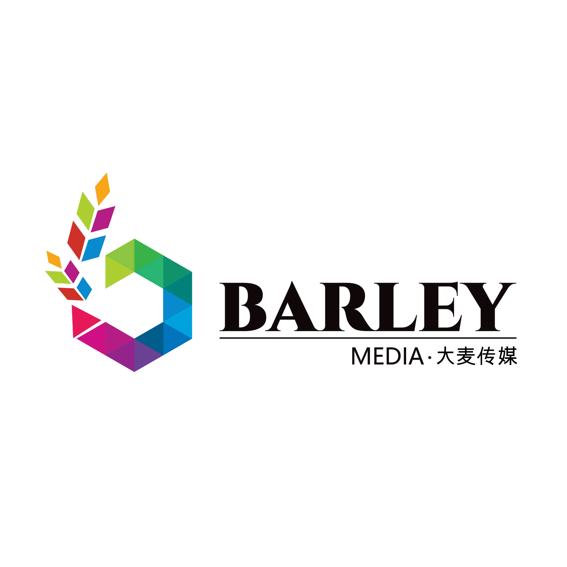 BARLEY MEDIA barleymedia