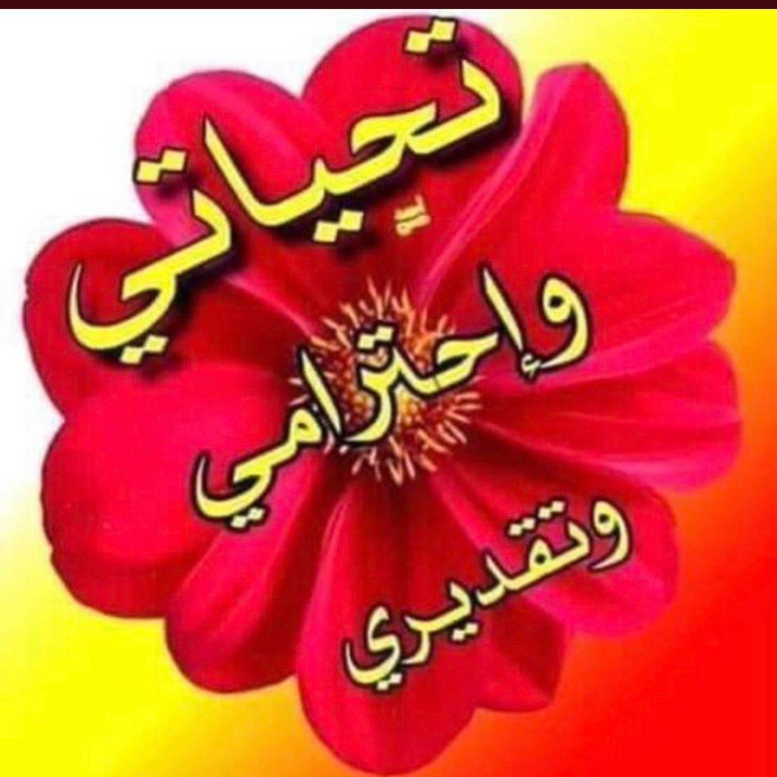 @ma_hir” ma_hir18