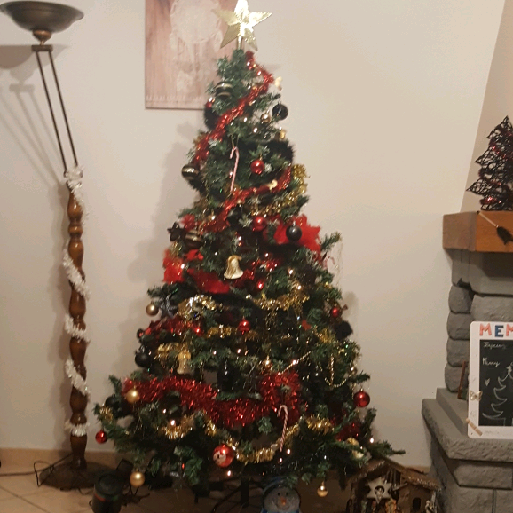 zasa409 zasa_409
