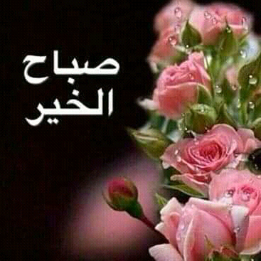 ab abdom1515