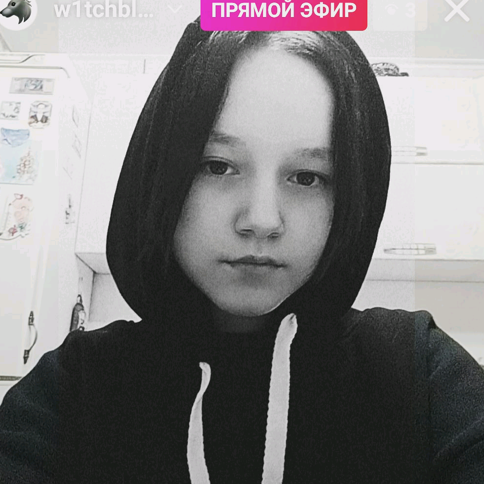 user8305641721941 _funny_dolphin_000