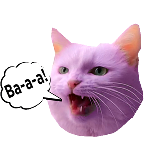 Cat Sofia sofiadelmonstro