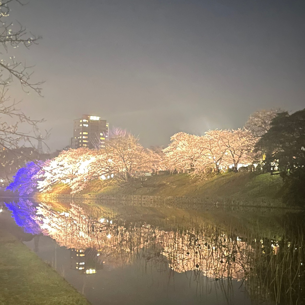 金玉ひっくり返った fukuokacity_1724