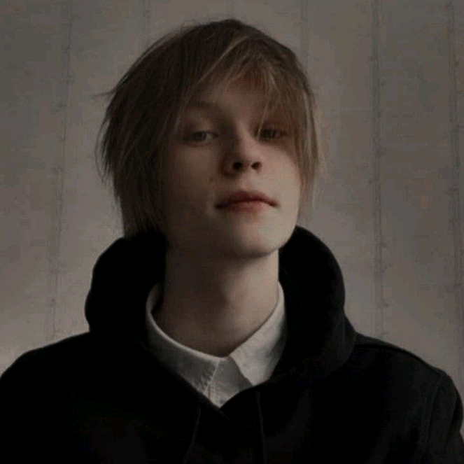 фан дипинс deeppins_fan1