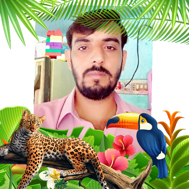 safoor Abbasi safoorabbasi1
