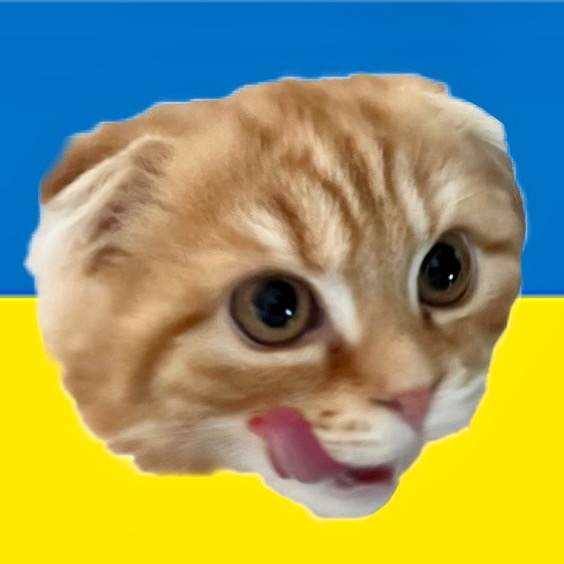 🐯 𝕋𝕆ℝ𝔸𝕂𝕆 🐯 torako912