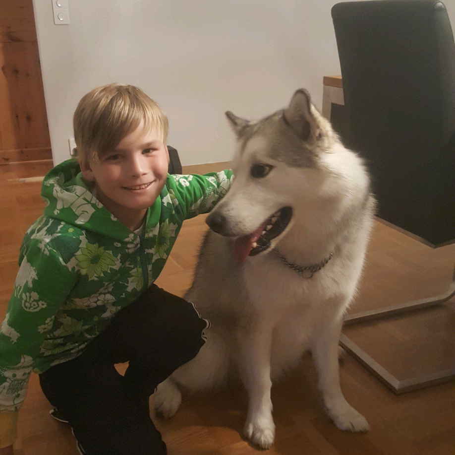 Blixten Minecraft blixten2021