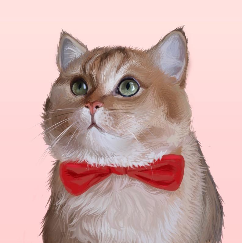 ✨ БУРБОН ✨ catbourbon