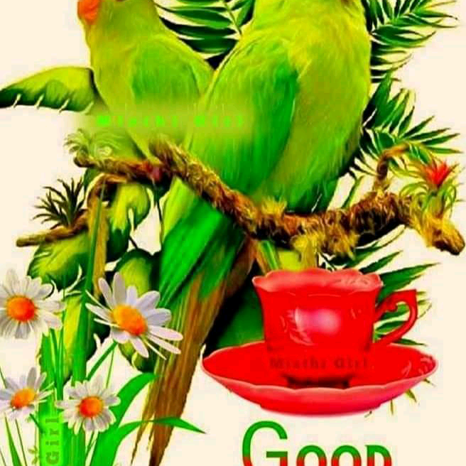 Abdulwahid_official11 abdulwahid_official11