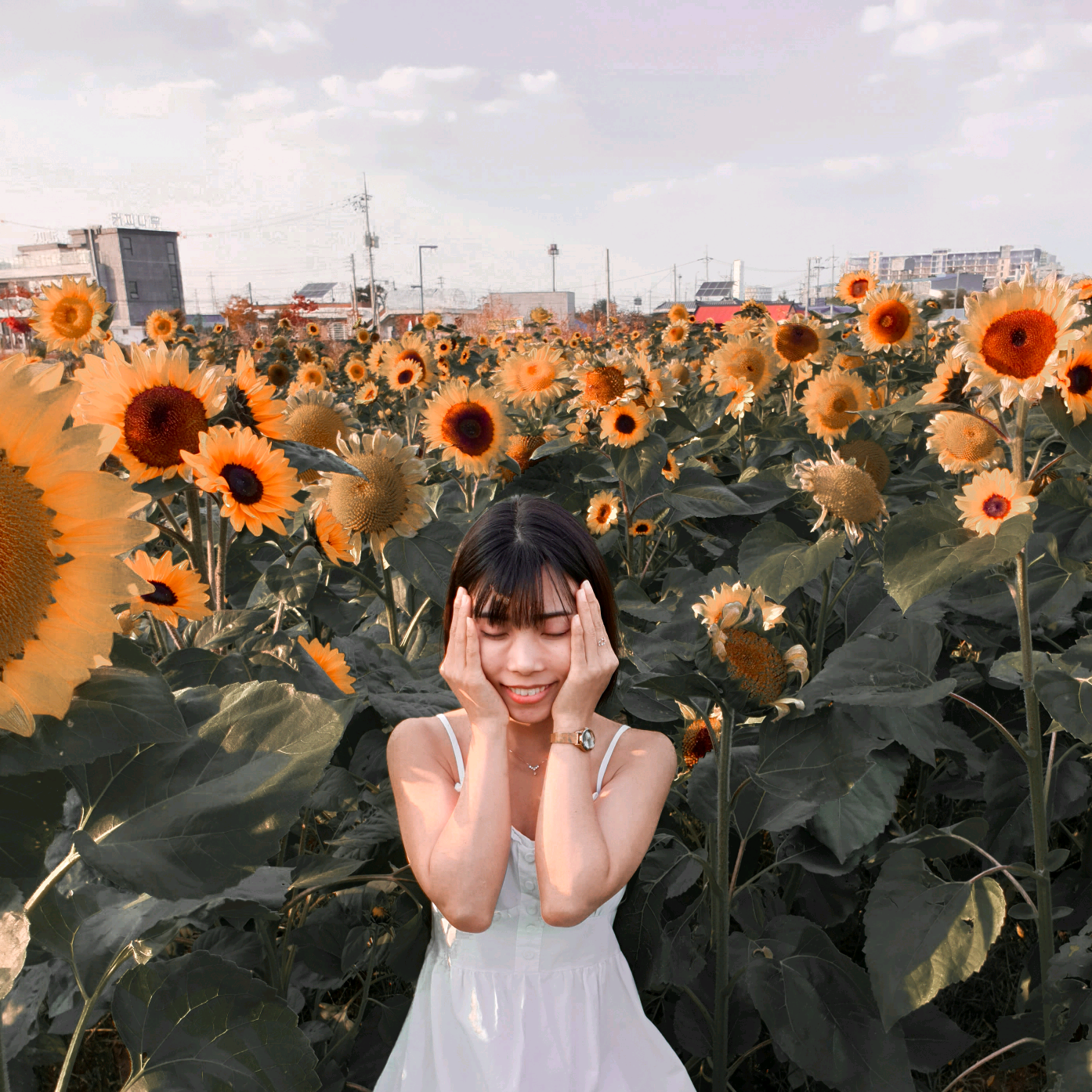 미소😊 miso.pm96